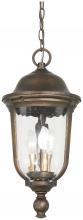 Minka-Lavery 73246-748 - 3 LIGHT OUTDOOR CHAIN HUNG