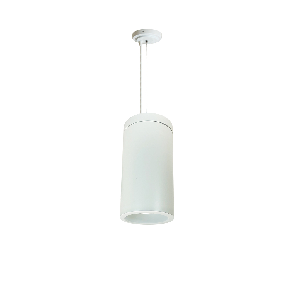 6" Cobalt Cable Mount Cylinder, White, 1000L, 3000K, White/White Reflector, 120V Triac/ELV/0-10V