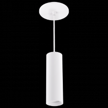 Elco Lighting E36PB-0930 - 3" BLK PNDNT 950LM 3000K 38° BM ANGL