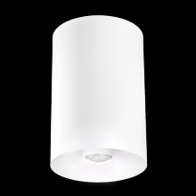 Elco Lighting E42FW-0730-FC - 4" WHT SRFC MNT 18°-50°BM 750LM 30K