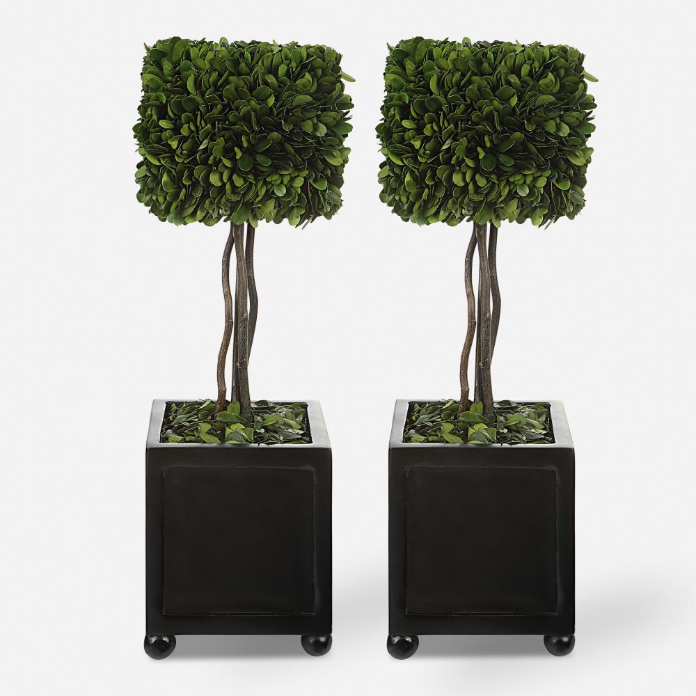 Uttermost Preserved Boxwood Square Topiaries, S/2