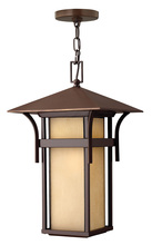 Hinkley 2572AR - Medium Hanging Lantern